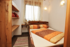 Plants: image 4 0f 6 thumb