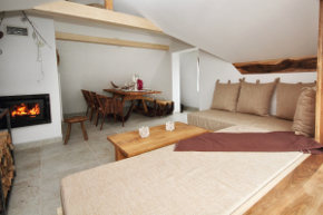 Plants: image 5 0f 10 thumb