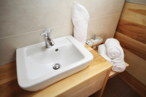 Plants: image 6 0f 10 thumb