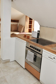 Plants: image 7 0f 10 thumb